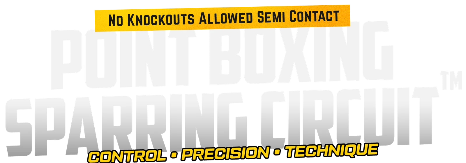 CONTROL · PRECISION · TECHNIQUE tagline lockup
